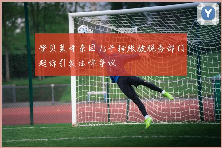 登贝莱母亲因儿子转账被税务部门起诉引发法律争议
