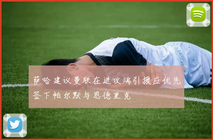 萨哈建议曼联在进攻端引援应优先签下帕尔默与恩德里克