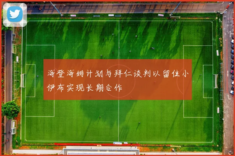 海登海姆计划与拜仁谈判以留住小伊布实现长期合作