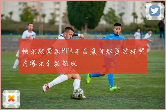 帕尔默荣获PFA年度最佳球员奖杯照片曝光引发热议